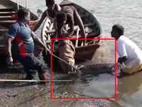 Bhopal: 10.5-feet-long gharial rescued from Kaliasot dam