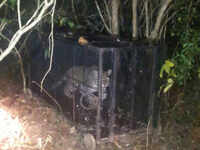 Bhubaneswar: Leopard roaming in posh residential area captured after operation spanning over 24 hours