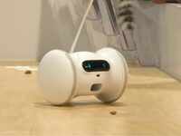 Robots that can play with pets showcased at CES 2019