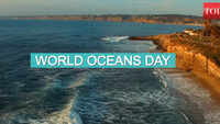 World Oceans Day: Celebrate our water-bodies