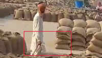 Shocking! Man pours water on tons of foodgrain bags to increase weight