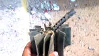 Pakistan violates ceasefire in J&K’s Rajouri