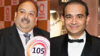 India seeks global action against economic fugitives