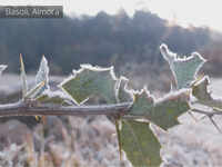 Watch: Intense cold wave freezes tap water in Almora