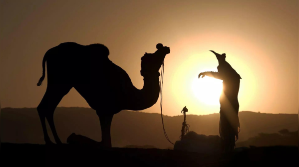 Pushkar camel fair: