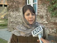 Stop playing with fire: Mehbooba Mufti warns BJP over Article 370