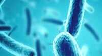 Physicists develop method to identify antibiotic-resistant bacteria, help in treating tuberculosis