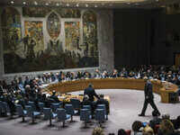 UNSC members irate over China’s decision