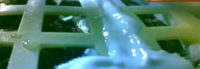 First plants grown on the moon during China’s Chang’e 4 lunar mission