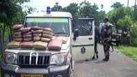 Tripura: Police recover cannabis worth Rs 82 lakh