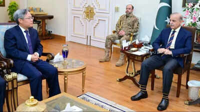 Pahalgam Terror Attack LIVE Updates: Chinese envoy meets Pak PM Sharif, discusses India-Pakistan tensions