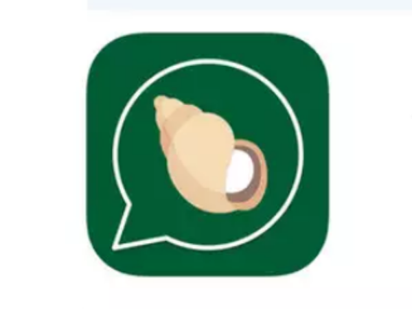 Patanjali chat app 'Kimbho' removed after a day