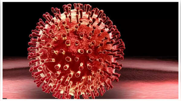 These deadliest viruses have the lowest survival rate!