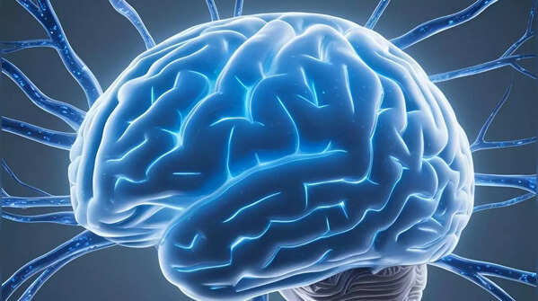 7 animals that don't have a brain