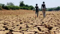 2019 is the second driest year in last 65 years: Skymet