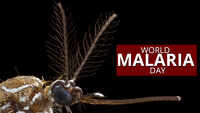 World Malaria Day 2019: All you need to know about life-threatening disease