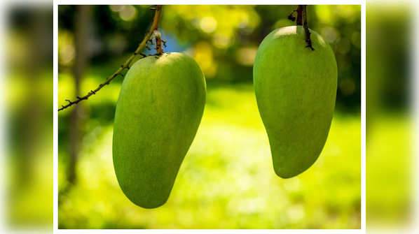 Most Common Mango Myths And Facts Mango Myths Debunked