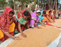 Govt to offer extra subsidised foodgrain