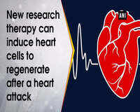Research: New therapy can heal damage of heart attack
