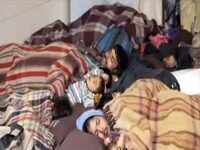 Cold wave continues to grip North India, homeless forced to take refuge in night shelters