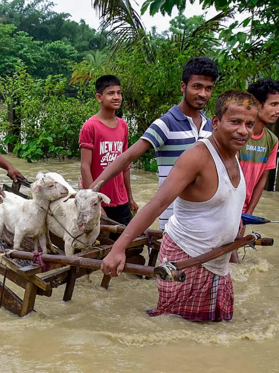 Assam Floods Over Lakh Hit As Flood Situation Remains Grim Times