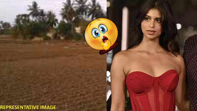 WHAT! Shah Rukh Khan's 23-year-old daughter Suhana Khan buys farmland worth over Rs 12 crore in Alibaug
