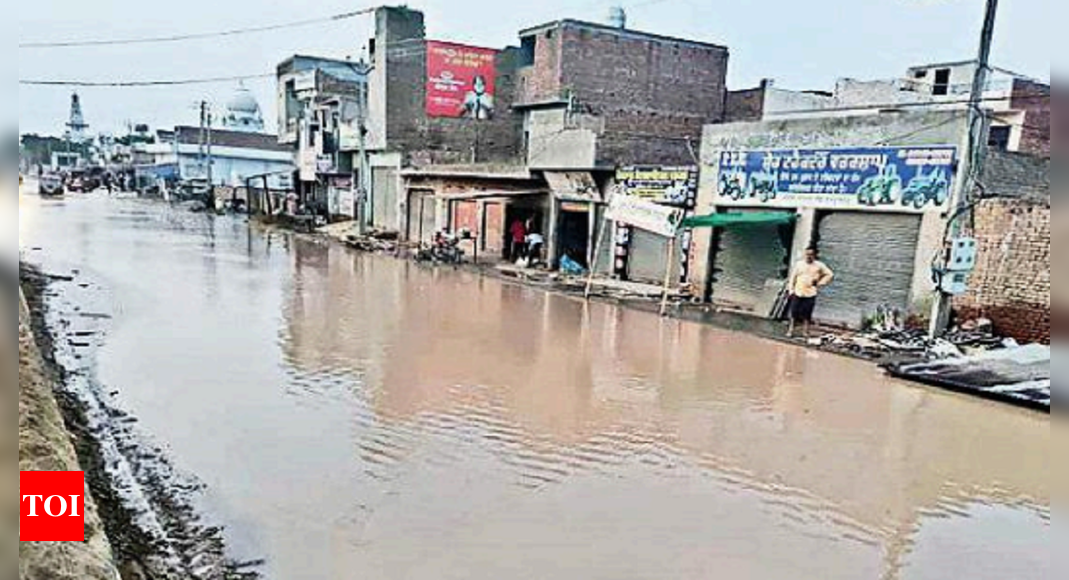 Sardulgarh 5th Ghaggar Breach In 4 Days Threatens To Flood Sardulgarh