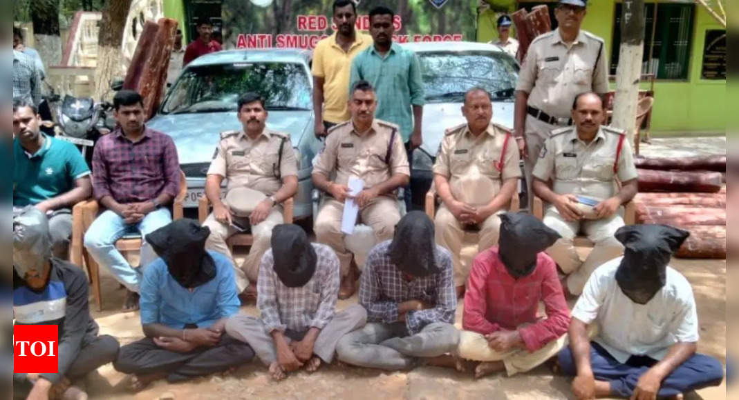 Task Force Arrests Six Red Sanders Smugglers In Ap S Annamayya District