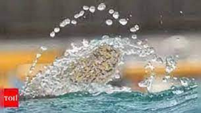 Cauvery authority orders Karnataka to release water to Tamil Nadu