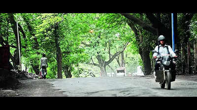 Assam, NHAI ink pact for increasing green cover