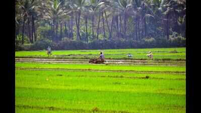 TCP dept ‘corrects’ 31,928 sqm, paddy fields included