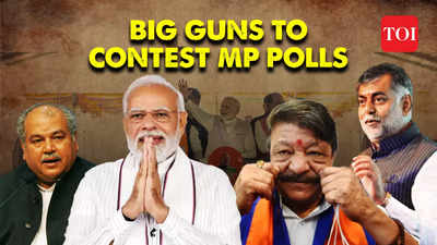 BJP May Field Big Guns In Rajasthan Chhattisgarh And Telangana After