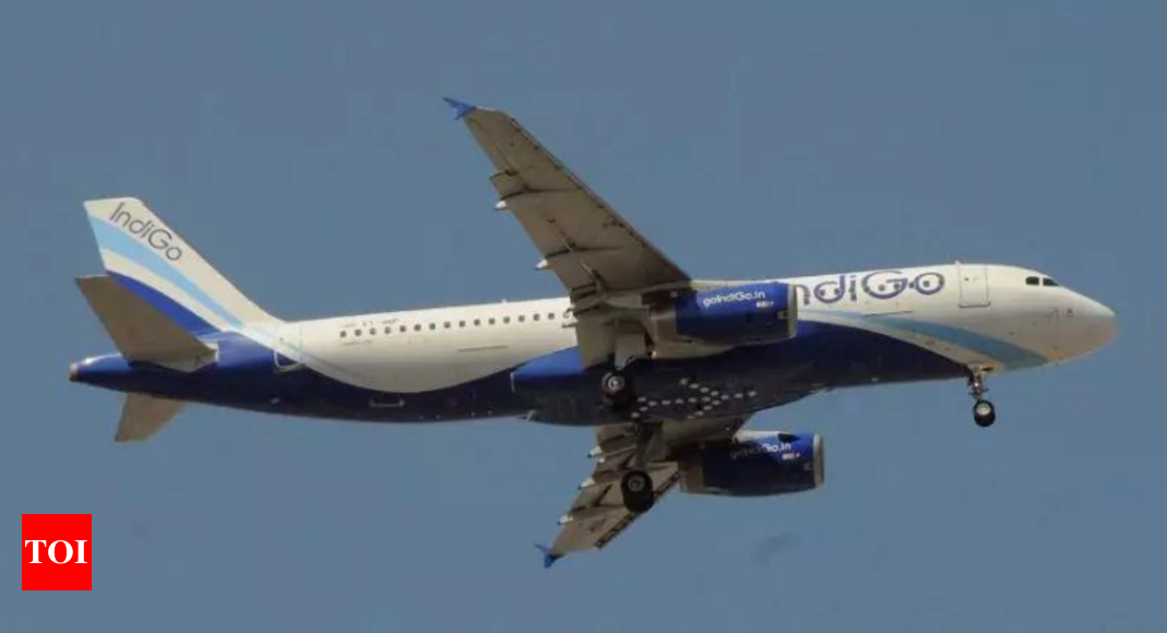 Hong Kong Indigo Restarts Direct Flights Between Delhi Hong Kong