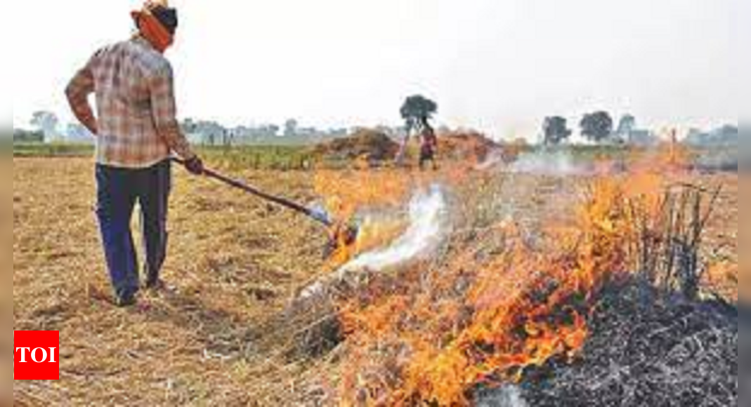 Punjab 26 New Stubble Burning Cases In Punjab Amritsar Tops State