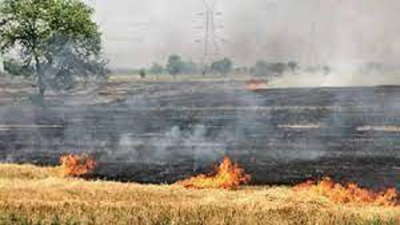 Punjab Stubble Burning Continues In Pb 89 Fresh Cases Reported