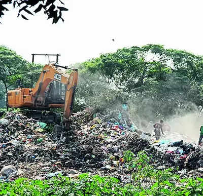 Waste Management Garbage Piles Up Lmc Yet To Hire Company For Waste