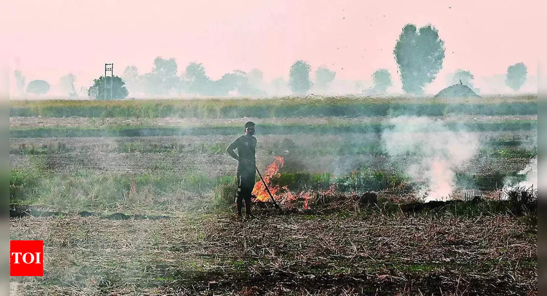 93 Of Farm Fires In Punjab Take Action Says Centre Delhi News