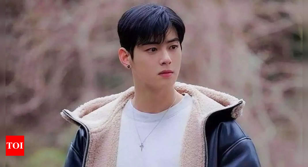 Astro S Cha Eun Woo Set To Elevate Fan Experience With Just One