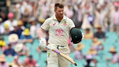 David Warner Falls For 34 In Farewell Test As Pakistan Pressure