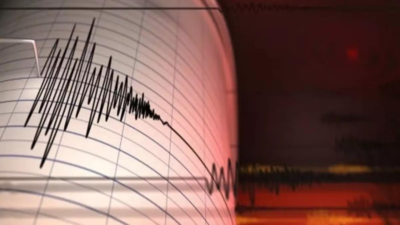 Earthquake Tremors Felt In Delhi Ncr Neighbouring Areas India News