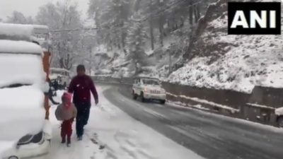 Snowfall Disrupts Normal Life In Himachal Pradesh S Tribal Areas 134