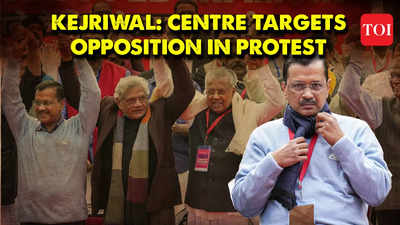 Kerala Government Leads Save India Protest In Delhi Kochi News