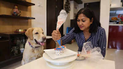 What's making gourmet pet treats a hit?
