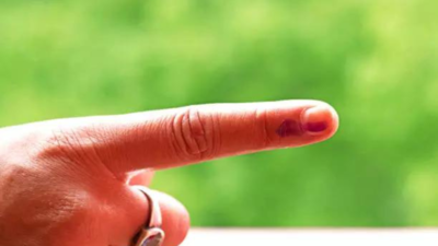 Mandsour Constituency of Madhya Pradesh Lok Sabha Election 2024: Date of Voting, Result, Candidates List, Main Parties, Schedule