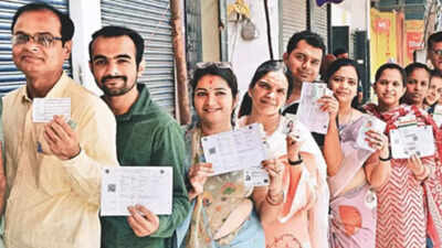 In Hyderabad Lok Sabha constituency, many defied odds to vote, most didn't care