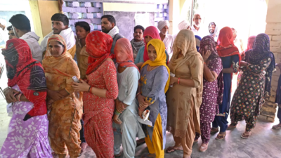 Lok Sabha Polls Haryana Records Pc Turnout Till Pm India