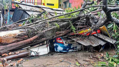 Storm's exceptionally wide track leaves trail of destruction in northeast