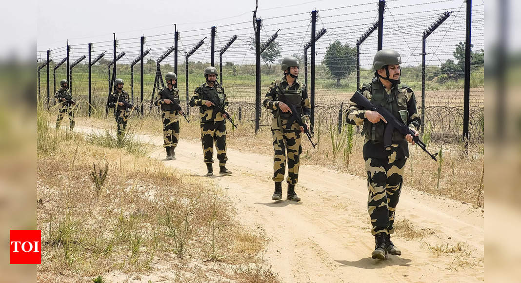 BSF Seizes Two Drones Carrying Narcotics Near India Pakistan Border In