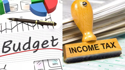 Budget 2024: Is tax on long-term capital gains fair, even if individual is in nil bracket?