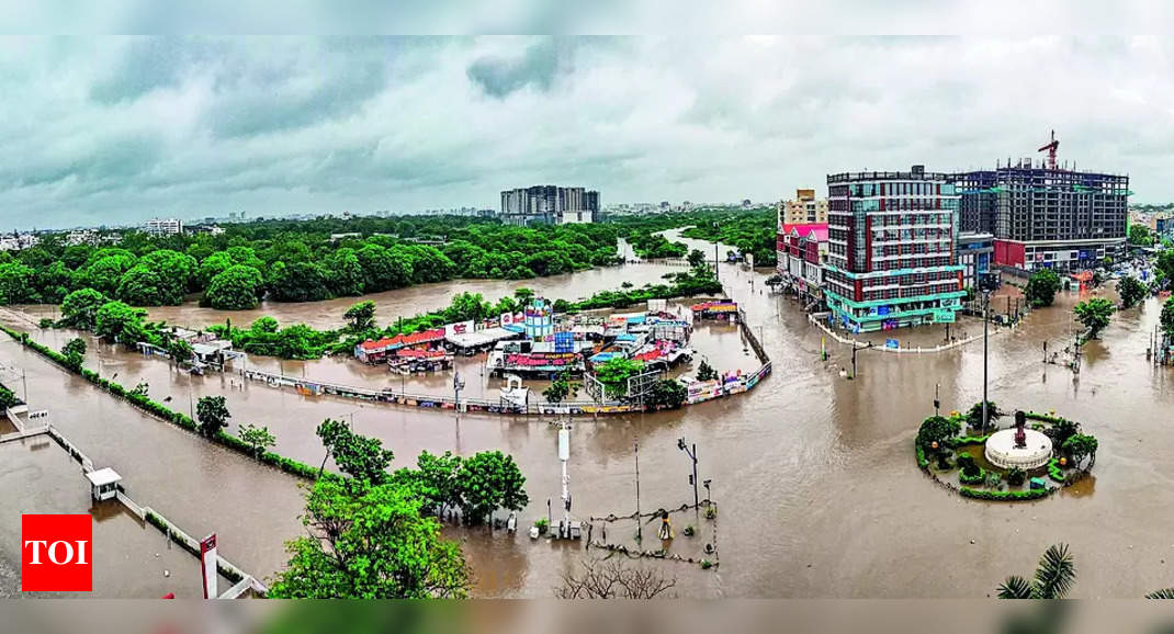 Vadodara Floods Vadodara Floods 2024 Vishwamitri River Overflows